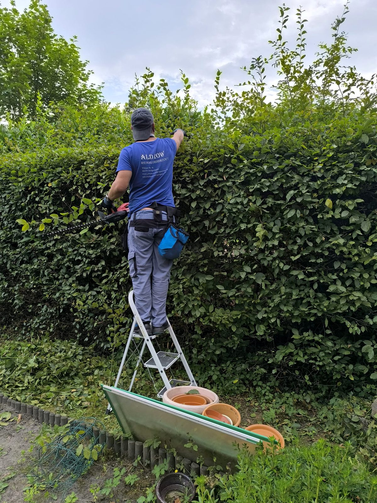 Garten & Grün: Foto 4
